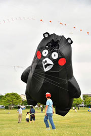 「空を見上げよう!風と遊ぼう!!熊本に笑顔をプロジェクト」風景写真